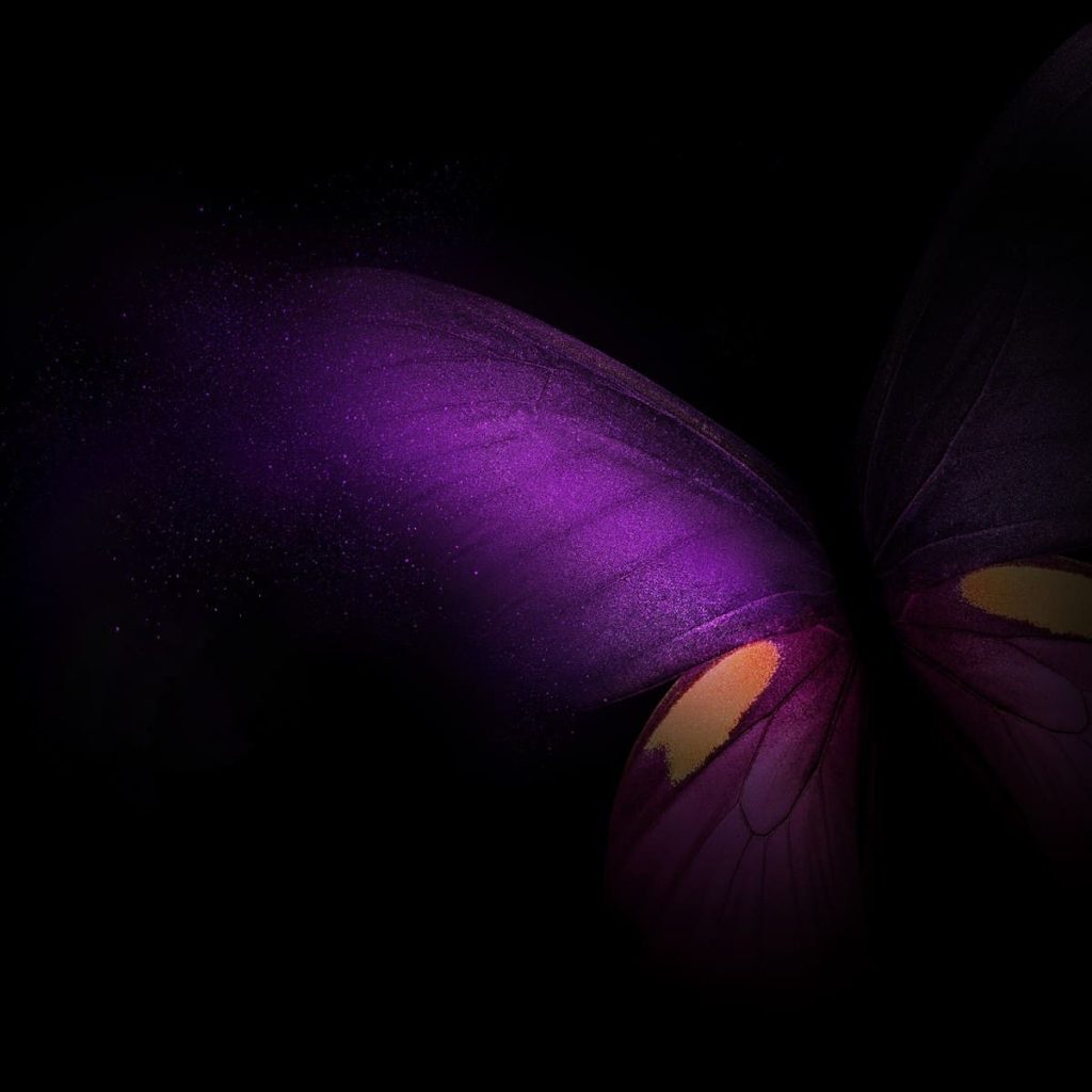Galaxy Fold Stock wallpaper